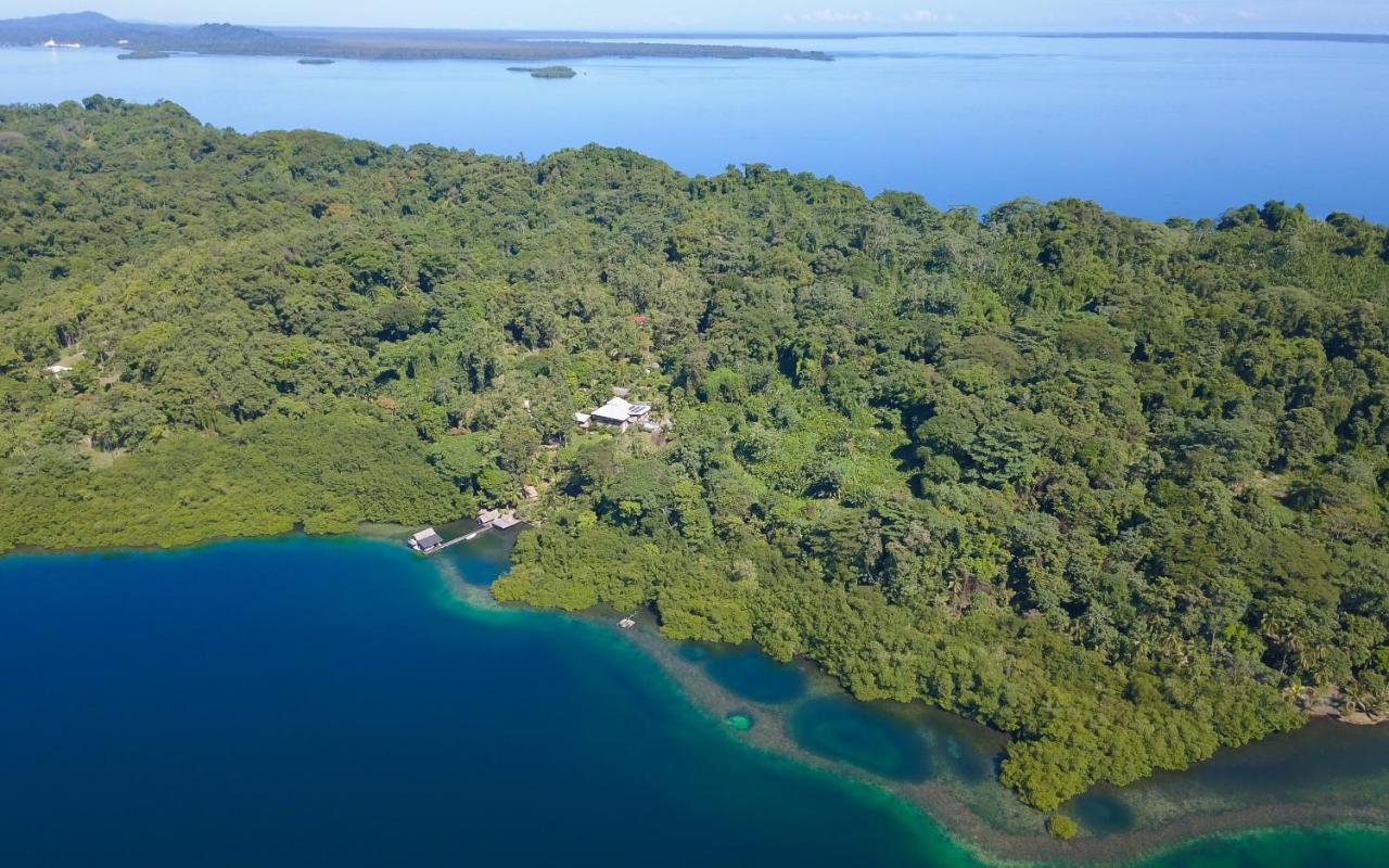 Finca Vela Lodge Bocas del Toro Exterior foto