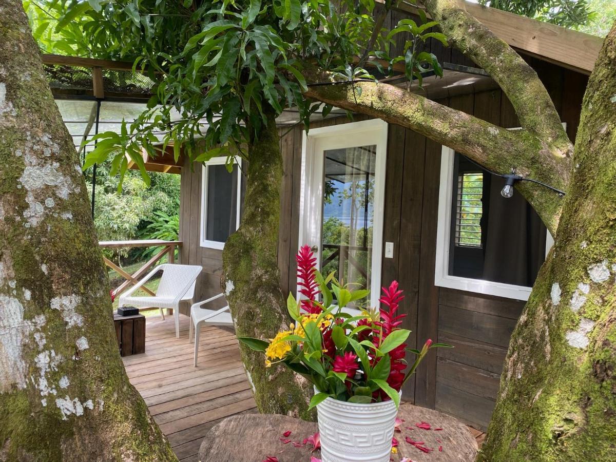 Finca Vela Lodge Bocas del Toro Exterior foto
