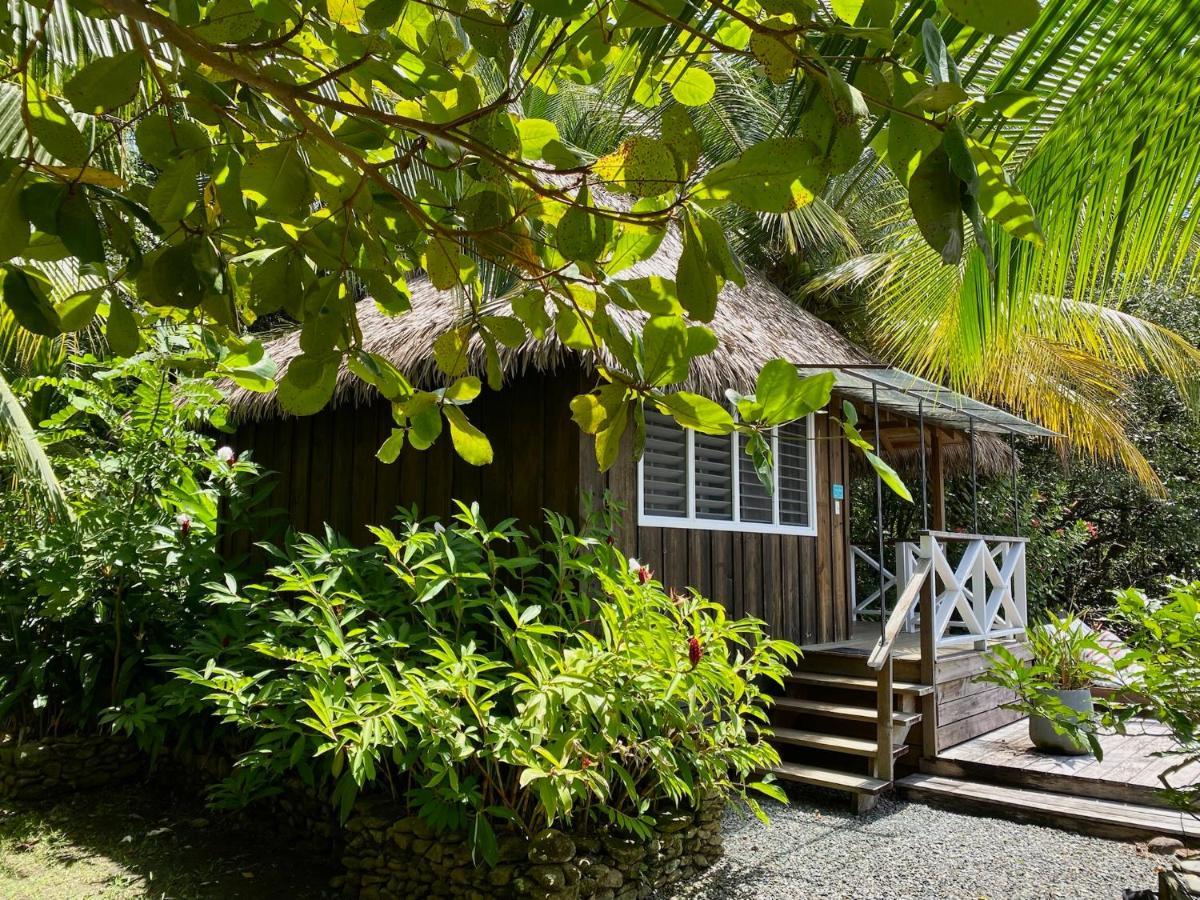 Finca Vela Lodge Bocas del Toro Exterior foto