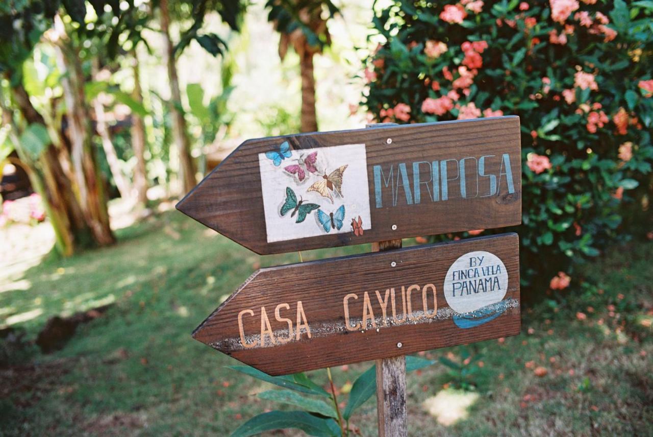 Finca Vela Lodge Bocas del Toro Exterior foto