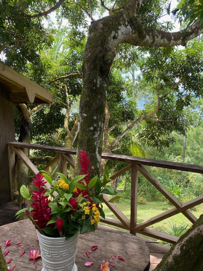Finca Vela Lodge Bocas del Toro Exterior foto