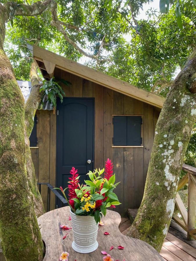 Finca Vela Lodge Bocas del Toro Exterior foto