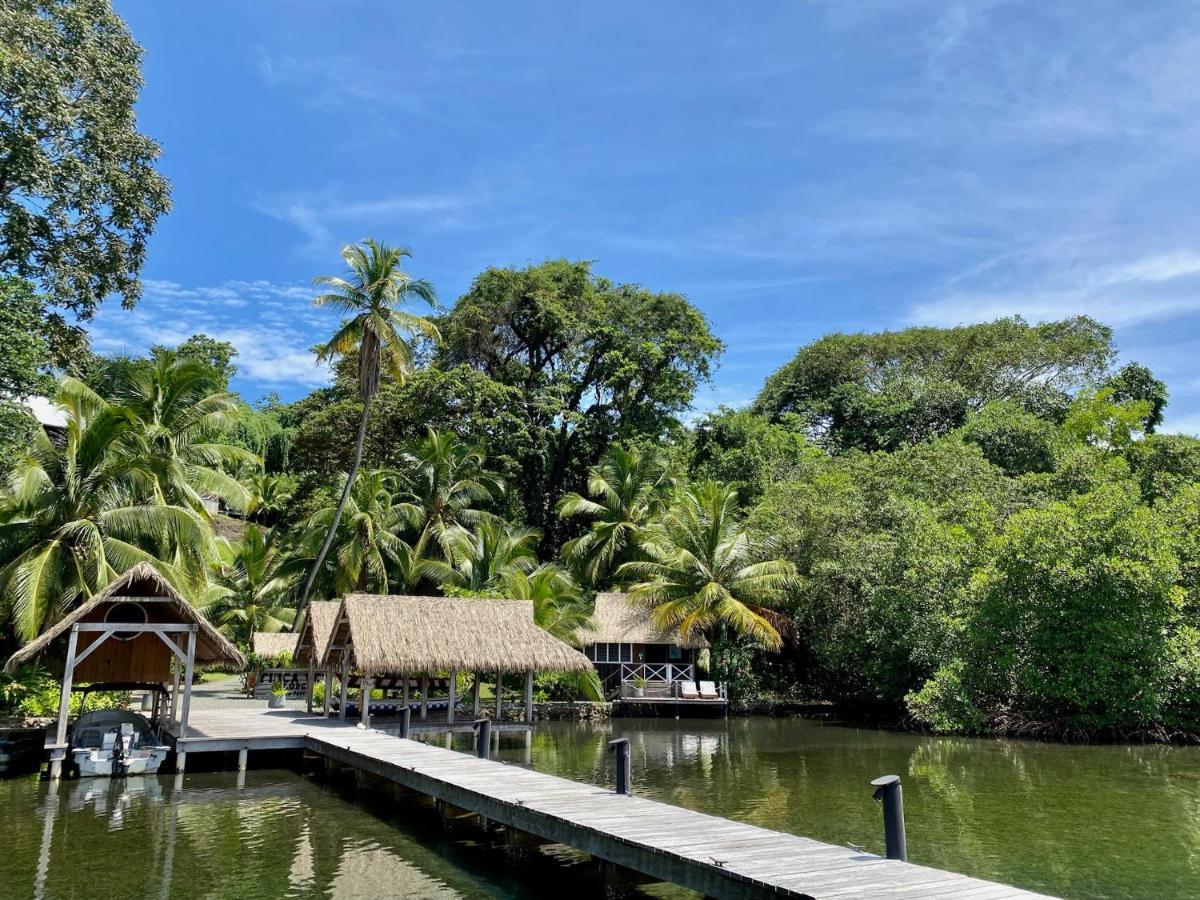 Finca Vela Lodge Bocas del Toro Exterior foto