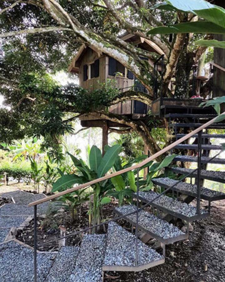 Finca Vela Lodge Bocas del Toro Zimmer foto